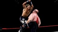 Shawn Michaels retained his title against Vader at Summerslam 1996